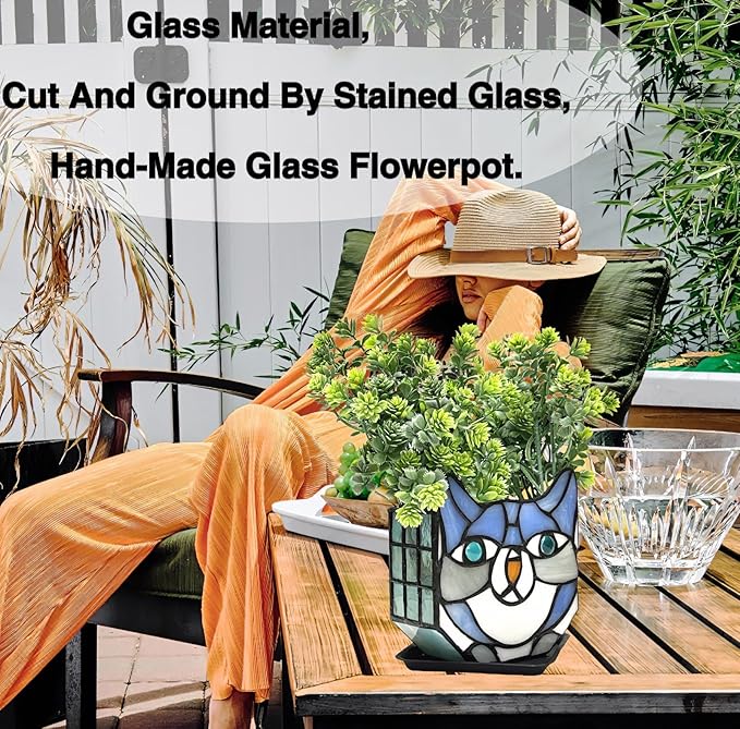 Indoor Plant Display Glass Container, Unique Pots for Plants, Glass Container Decoration,Suitable for Growing Small Plants 4.6x5.15x3 in （Excluding Plants）