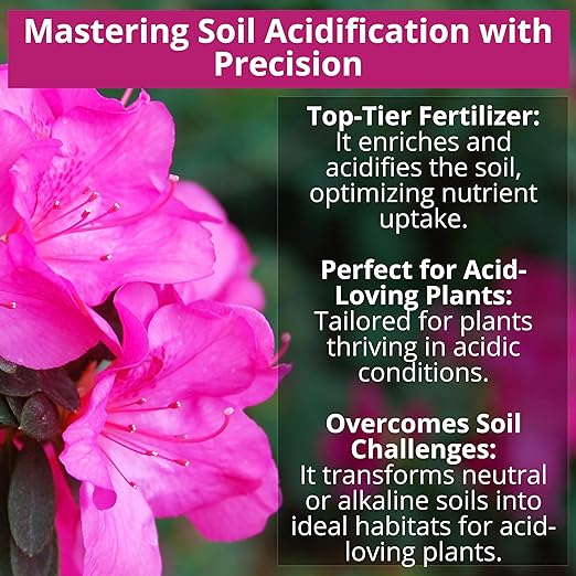8-4-8 Acidic Fertilizer for Azaleas, Camellias (Camelia), Hydrangeas, Blueberries, Gardenias, Magnolia Trees, Evergreens, and Rhododendrons - Ideal Iron-Rich Plant Food (12 OZ)