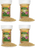 Elevate Your Acidic Soil Mix with Gardenera's Kanuma Soil Amendment - Improves Nutrient Uptake and Root Health - 20 Quart