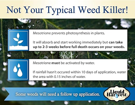 Liquid Harvest Mesotrione - 32oz - Mesotrione Concentrate (Compare to Tenacity) - Pre and Post-Emergent Weed Killer for Lawn and Turf Grasses