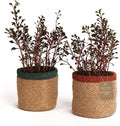 Jute Planter Basket-Woven Jute Rope Covers for Decorating Indoor/Outdoor Succulents, Small Plant Pots-Set of 2-Multi-Purpose Storage Bins 4.5 in - Modern Style Décor - Red, Green & Natural