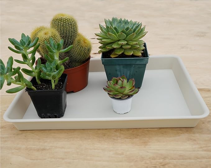 2 Pack Plant Growing Nursery 1020 Trays, Plant Saucer Tray, Heavy Sturdy Seed Starting Trays, Plant Starter Trays for Indoors No Holes, Seed Starter Growing Tray (22"x11.2", Beige)