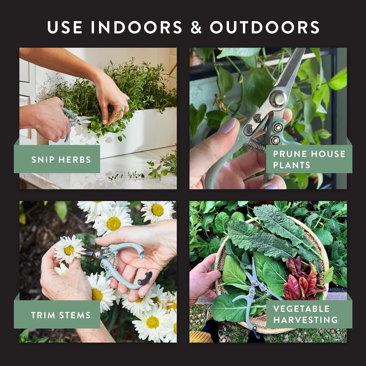 Modern Sprout Pruning Shears - Herb Snipping Scissors- Lightweight Gardening Tools W/Easy Lock - Flower Cutter Garden Shears - Carbon Steel Blade + Reusable Holster (Chartreuse, 1-Pack)