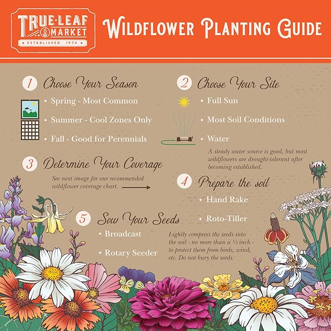 Wildflower Seeds Bulk, 2 Oz. 80,000+ Seeds – Save The Bees Mix with 19 Non-GMO Varieties – Bee Friendly & Pollinator Wildflower Seed for Planting