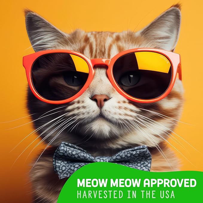 Organic Cat Grass Premium Grow Kit 4 Pack | Non GMO Mixed Heirloom Seeds | Wheatgrass - Oat Grass - Barley Grass Blend