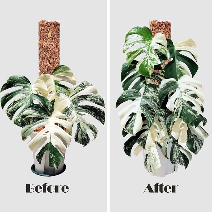 6 Pcs 17 Inch Plastic Moss Pole for Plants Monstera,Designed Specifically for Climbing Plants, Stackable Plant Support for Indoor Plants