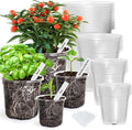 Bonviee Clear Nursery Pots for Plants, 6.7/5/4/3.5 Inch Reinforced Clear Nursery Pots with Drainage Hole, 36 Packs Transparent Plastic Plant Pot Seedling Planter Seed Starter Flower
