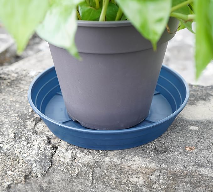 Plant Saucer 6 Inch 4 Pack 6 8 10 12 14 16 18 20 25, Plastic Plant Trays for Pots，Extra-Deep Plant Water Dray Tray, Bird Bath Bowl, Heavy Flower Plant saucers Indoors and Outdoor No Holes 6in-4 blue