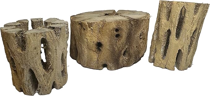 3 Natural Cholla Wood Air Plant Display Holders 2 inch Individually Unique Round Decorative Stands