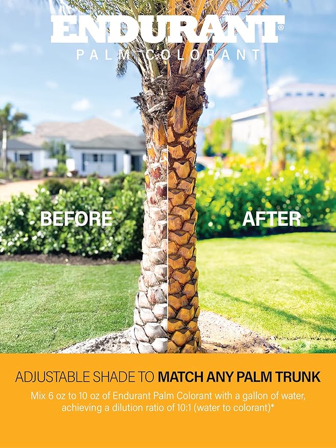 Endurant Palm Colorant – Non-Toxic Palm Tree Protector - Enhances Natural Beauty - Prevents Sunscald & Bark Damage -Easy Annual Application - Vibrant Long-Lasting Trunk Care - 32 oz