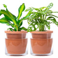 D'vine Dev 6 Inch Design Self Watering Pot for Indoor Plants, Terracotta Planter with Cylinder Glass Cup, Set of 2, 37-Y-B-1
