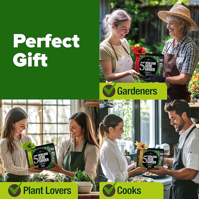 HOME GROWN Indoor Herb Garden Starter Kit - Christmas Gift for Gardeners - Complete 5 Herb Plant Grow Kit - Unique Gift for Mom, Women, Her, Men - Birthday Gift