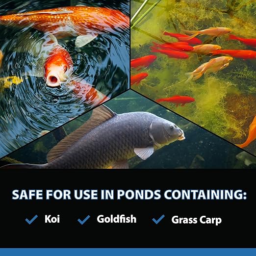 CrystalClear AlgaeOff Pond & Water Garden Scum Cleaner, Waterfall & Rock Slime Remover, String Algae Killer, Green Stain Treatment, EPA Registered Algaecide, Plant, Koi Fish, Bird & Pet Safe, 25 lbs