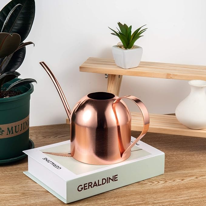 IMEEA Indoor Watering Can for House Plants 33oz/1L Stainless Steel Watering Can with Long Spout (Rose Gold)