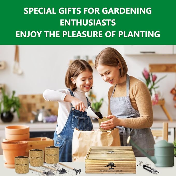 Bonsai Tree Kit, Wooden Gift Box Indoor Bonsai Tree Starter Kit with Tools & Japanese Plants Seeds, Growing DIY Gardening for Plant Lovers (Plant Lover Gift)