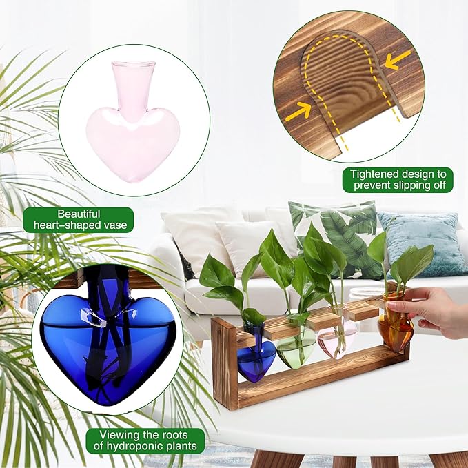 Plant Propagation Stations Heart Plant Terrarium Kit Gift for Women Plant Lover Glass Vases