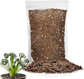 Premium Albuca Spiralis Potting Soil Mix - Perfect Balance of Nutrients, Drainage, and Aeration for Thriving Blooms - 3 Quart