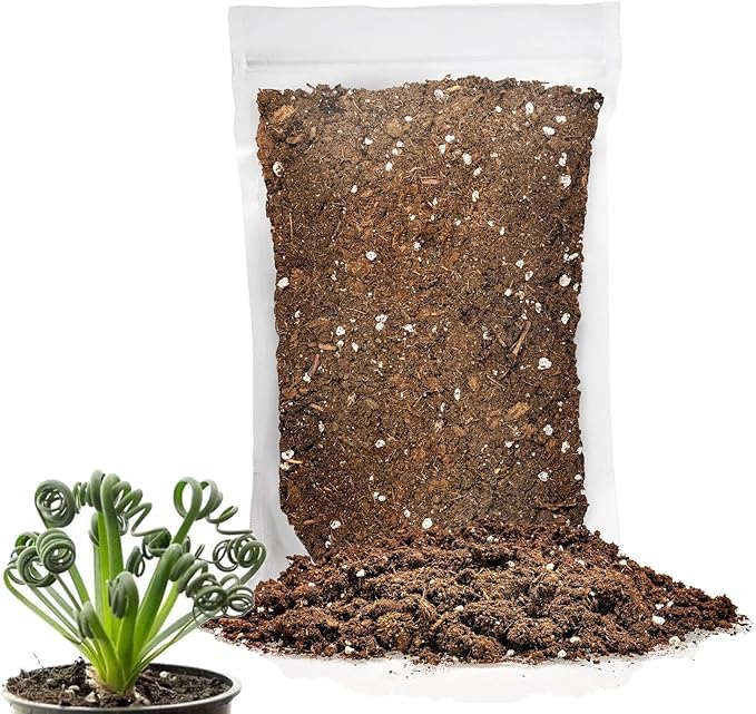 Premium Albuca Spiralis Potting Soil Mix - Perfect Balance of Nutrients, Drainage, and Aeration for Thriving Blooms - 10 Quart