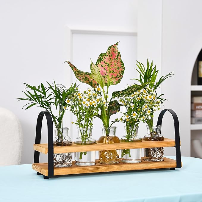 Plant Propagation Stations with Wood Stand, Desktop Plant Terrarium for Propagating Hydroponic, Flower Vase for Home Kitchen Office Decor, Plant Lover Gifts