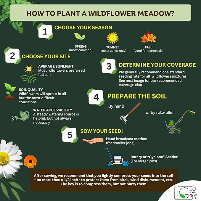 on The Go Regional Wildflower Seed Shaker - Northeast USA Wildflowers - 100% Pure Seed - Organic, Non-GMO - 21 Wildflower Variety Seeds of Annual & Perennial, 2oz