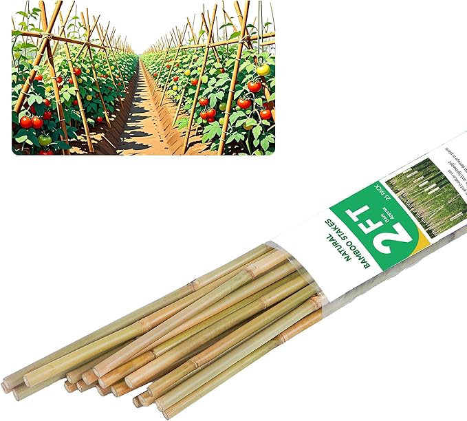 2ft Natural Bamboo Plant Stakes for Tomatoes, Beans, Flowers, Potted, Climbing Plants 25pcs
