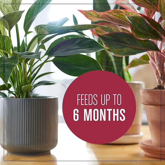 Miracle-Gro Houseplant Potting Mix: Fertilized, Perlite Soil for Indoor Gardening, Designed to Be Less Prone to Gnats, 4 qt.