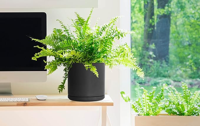 D'vine Dev 10 Inch Ceramic Planter Pot with Drainage Hole and Saucer, Indoor Cylinder Round Planter Pot, Black, 94-O-E-2
