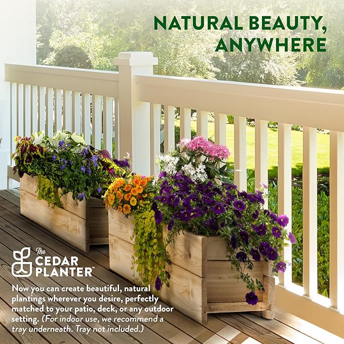 Greenes Fence Cedar Wood Planter Box, 21" x 11" x 7" (4-Pack) - Made in USA with North American Cedar