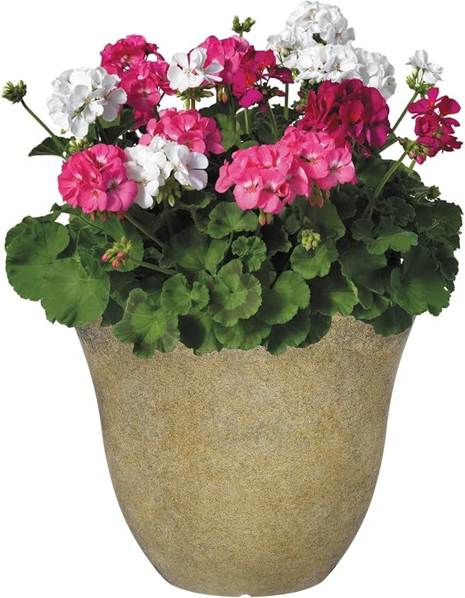Classic Home and Garden Honeysuckle Planter, Patio Pot, 13" Fossil Stone (One Pack) (Pack of 4)