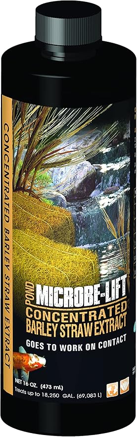 MICROBE-LIFT MLCBSE500 Concentrated Barley Straw Extract Conditioner for Ponds and Outdoor Water Garden, Safe for Live Koi Fish, Plants, and Decorations, 16 Ounces