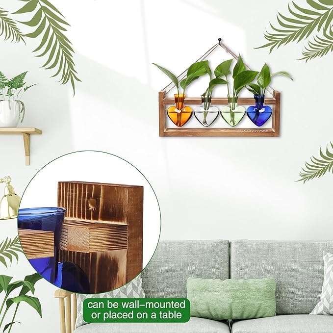 Plant Propagation Stations Heart Plant Terrarium Kit Gift for Women Plant Lover Glass Vases