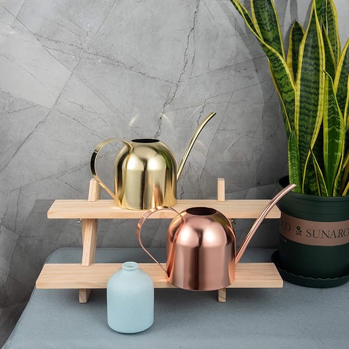 IMEEA Indoor Watering Can for House Plants 33oz/1L Stainless Steel Watering Can with Long Spout (Rose Gold)