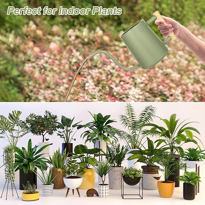 Watering Can Indoor Plants, 35 oz/1000 ml Metal Stainless Steel Watering Can Pot with Long Spout for Indoor House Plants Bonsai Outdoor Garden Flower Decorative (Sage Green)