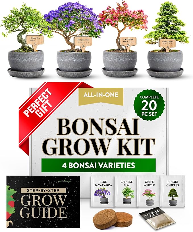 HOME GROWN Bonsai Tree Kit – Easy to Grow 4 Species of Bonsai w/Our Complete Plant Kit: Bonsai Pots & Peat Pellets Including a Bonus in-Depth Grow Guide - Great Gardening Gifts for Women and Men