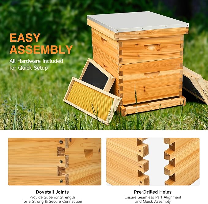 CREWORKS 10 Frame Bee Hive, 2 Layers Beeswax Coated Beehive Starter Kit with Frames & Foundations, Langstroth Bees Hives Box with Transparent Acrylic (Window Medium Box & Deep Box)