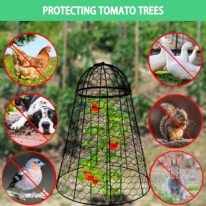 Garden Cloches for Plants Extra Large Sapbontchi Garden Cloche Chicken Wire Cloche for Plants Cages Cover Plant Protectors from Animals in Outdoor Vegetable Garden Set of 6 Plant Cloche 20" H x 12" D