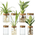 Glass Plant Propagation Stations for Plants – Set of 4(4 Large & 4 Small) Hydroponic Vases for Plant Cuttings,Flower Arrangements, Home & Office Decor–Desktop Vases for Living Room, Bedroom (8)