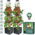 Raised Garden Bed Planter Box with Trellis, 58” Tomato Cage Planter Raised Garden Bed with Trellis for Climbing Vegetables Plants Tomato Cage w/Self-Watering, Indoor Outdoor Use (2)