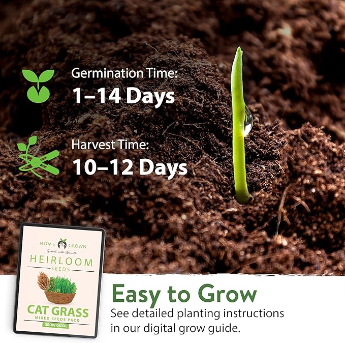 HOME GROWN 3200+ Cat Grass – 𝗡𝗢𝗡-𝗚𝗠𝗢 𝗨𝗦𝗔 Grown Catnip, Alfalfa, Oat, Cat Grass Mix – Indoor Cat Grass Kit Refill – High-Germination Pet Grass for Hairball Relief & Digestion