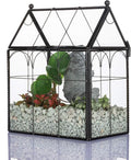 NCYP Black Glass Terrarium with Lid, Indoor Geometric Planter for Cacti, Air Plants, Succulents, Insect, Snail, House Shape Closed Box 7.5" x 4.9" x 9" (No Plant Included)