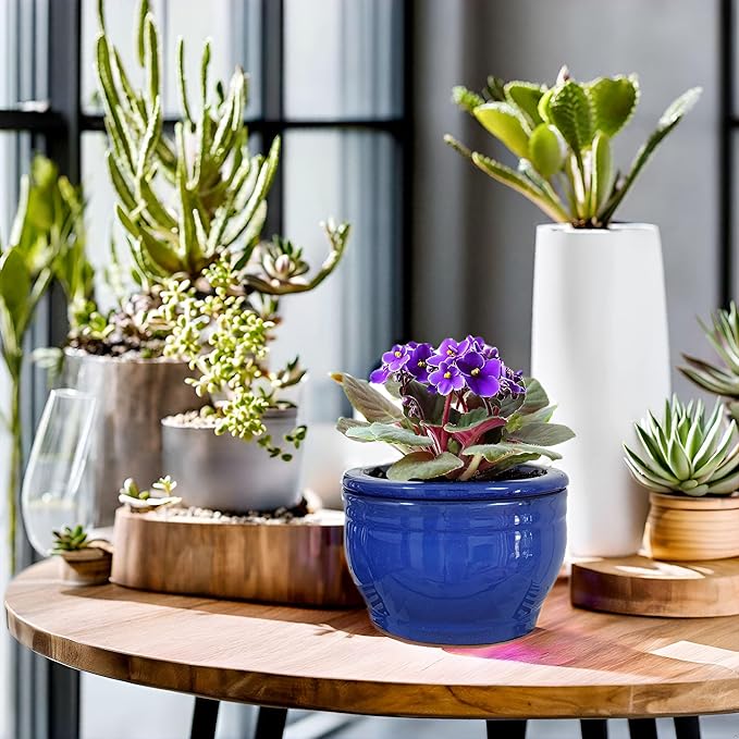 African Violet Pots Self Watering Round Ceramic Violet Pot (Blue, 6 inch)