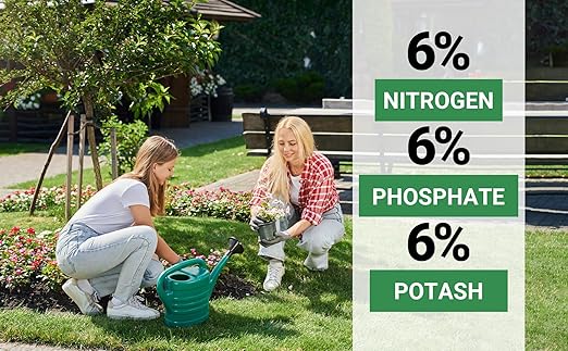 6-6-6 All-Purpose Professional Plant Food Fertilizer; Ideal for Winter Care & Spring Feeding, Perfect Balanced NPK for Indoor and Outdoor Plants (1 Quart)