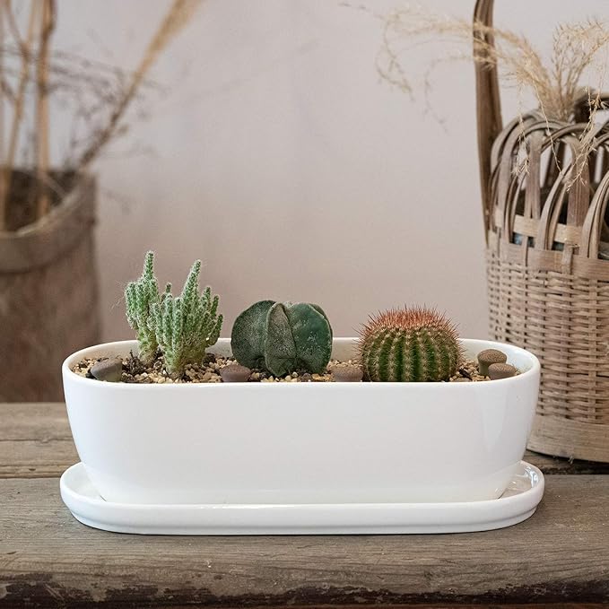 Oval Ceramic Planter Pot with Drainage Hole Saucers 11 Inch Succulents Planter Home Decor for Indoor Outdoor Plants Herb Cactus with 3 Mesh Pads, Plants Not Included