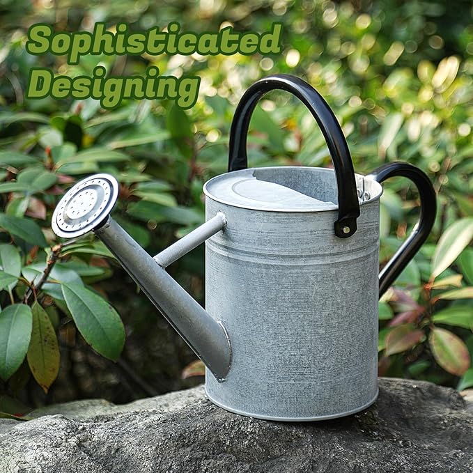 1 Gallon Watering Can for Plants, Watering Cans for Indoor&Outdoor Gardening, Galvanized Steel Watering Pot with Removable Spout, Metal Water Can with Ergonomic Movable Handle(Rustic Silver)