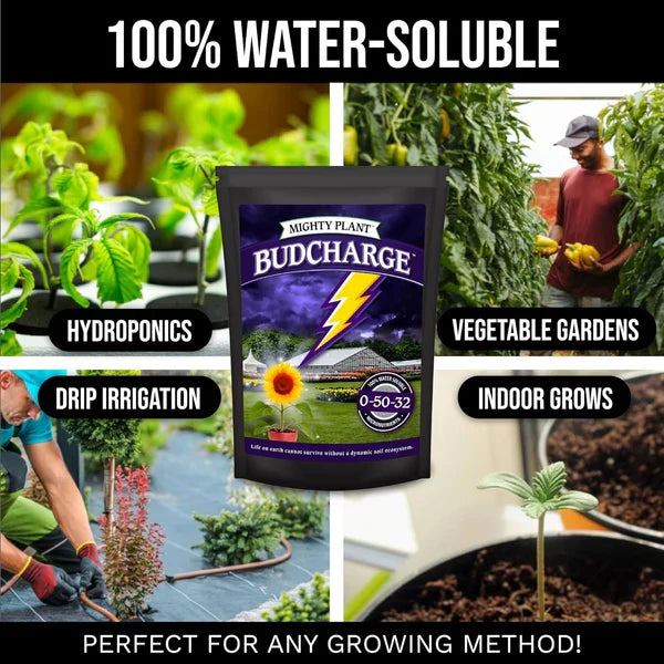 BudCharge Grower Sizes