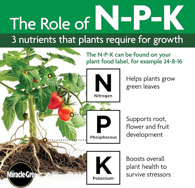 Miracle-Gro Shake 'N Feed All Purpose Plant Food, For In-Ground and Container Plants, Feeds for up to 3 Months, 1 lb.