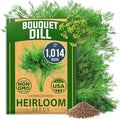 HOME GROWN 𝗨𝗦𝗔 𝗣𝗥𝗘𝗠𝗜𝗨𝗠 Dill Seeds for Planting 1,014 Bouquet Dill Seeds 𝗡𝗢𝗡-𝗚𝗠𝗢 and Heirloom Herb Seeds for Planting Outdoors, Grow Your Fragrant Dill Herb Garden (Anethum graveolens)