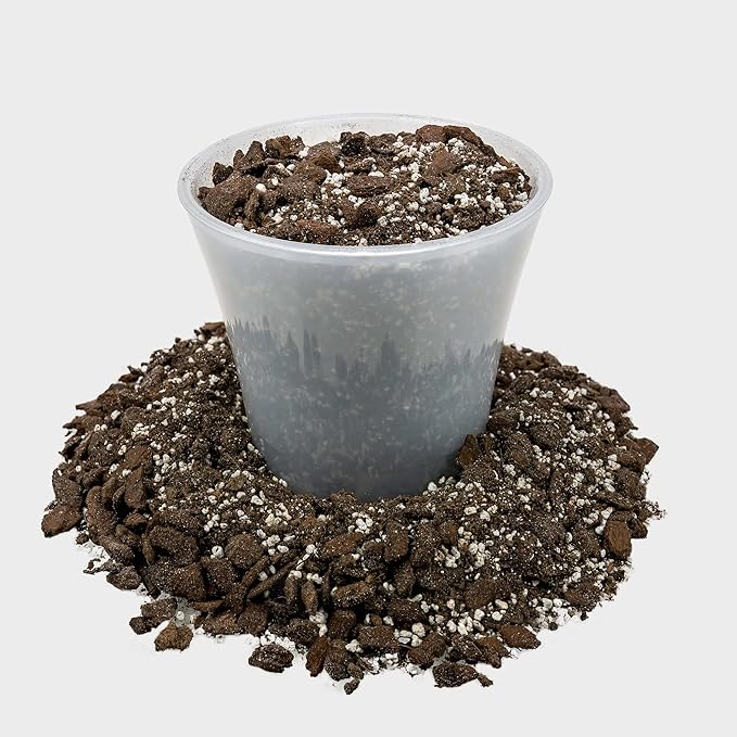 Professional Succulent Soil Premium All Purpose Blend | Pre-Mixed Ready to Use for Cactus and Succulents | Sphagnum Peat Moss, Perlite, New Zealand Pine Bark - Made in USA - 2 Quart