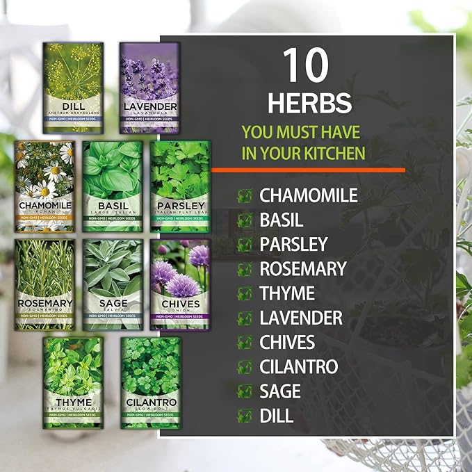 10 Kit Non-GMO Growing into Thyme, Lavender, Chamomile, Dill, Chives, Cilantro, Rosemary, Basil, Parsley, Sage Indoor/Outdoor for Kitchen Windowsill Gardening Gift