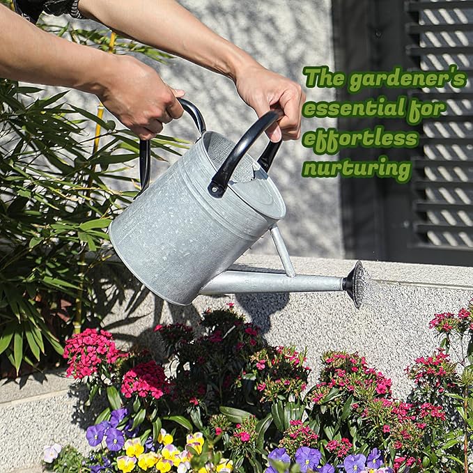 1 Gallon Watering Can for Plants, Watering Cans for Indoor&Outdoor Gardening, Galvanized Steel Watering Pot with Removable Spout, Metal Water Can with Ergonomic Movable Handle(Rustic Silver)